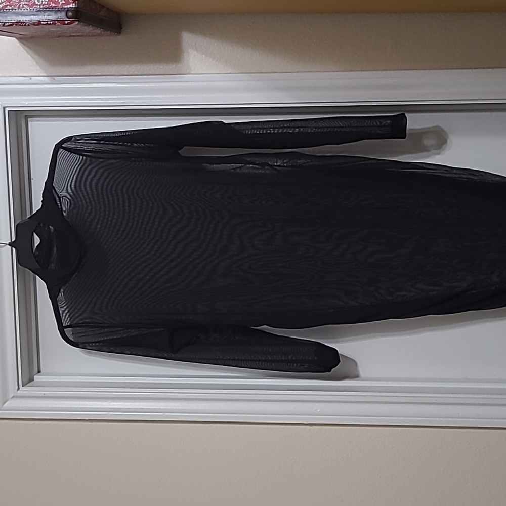 Long sleeve see through dress